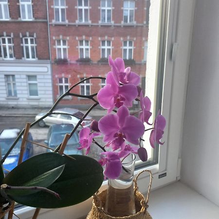 Apartament Prowansalski Z Miejscem Parkingowym Гданьск Экстерьер фото